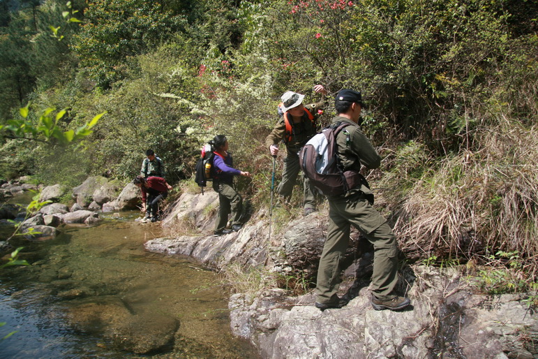 穿越石井坑图片之老树版