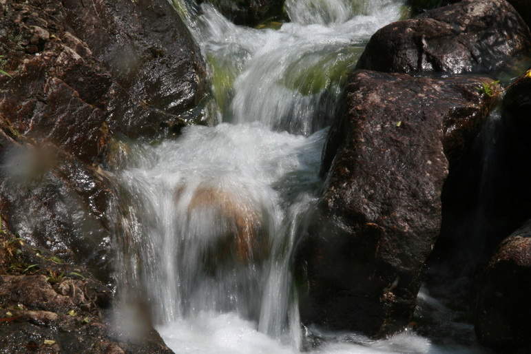 穿越石井坑图片之老树版 穿越石井坑图片之老树版