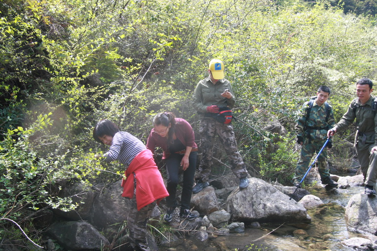 穿越石井坑图片之老树版 穿越石井坑图片之老树版