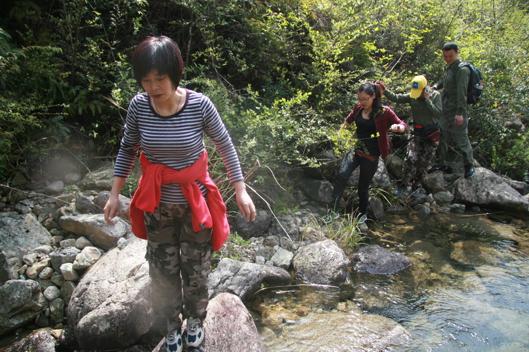 穿越石井坑图片之老树版 穿越石井坑图片之老树版
