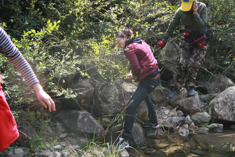 穿越石井坑图片之老树版 穿越石井坑图片之老树版