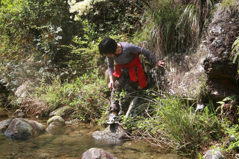 穿越石井坑图片之老树版 穿越石井坑图片之老树版