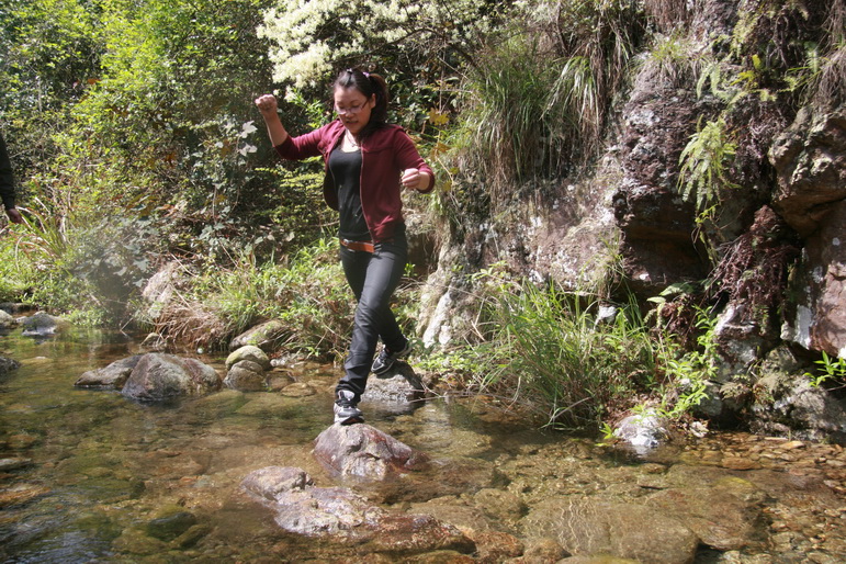 穿越石井坑图片之老树版 穿越石井坑图片之老树版