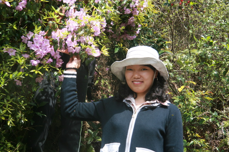 穿越石井坑图片之老树版 穿越石井坑图片之老树版