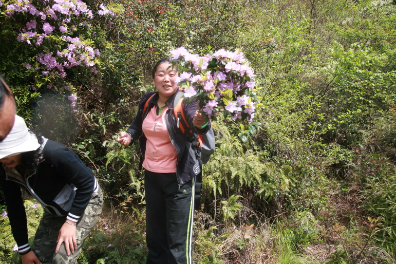 穿越石井坑图片之老树版 穿越石井坑图片之老树版