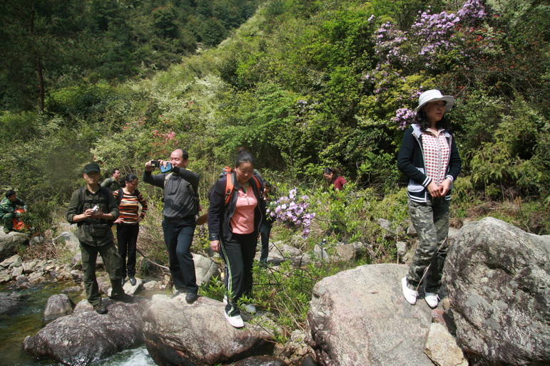 穿越石井坑图片之老树版 穿越石井坑图片之老树版