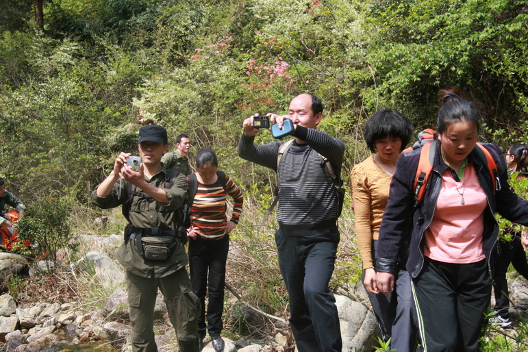 穿越石井坑图片之老树版 穿越石井坑图片之老树版