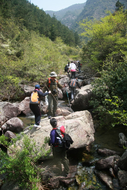 穿越石井坑图片之老树版 穿越石井坑图片之老树版