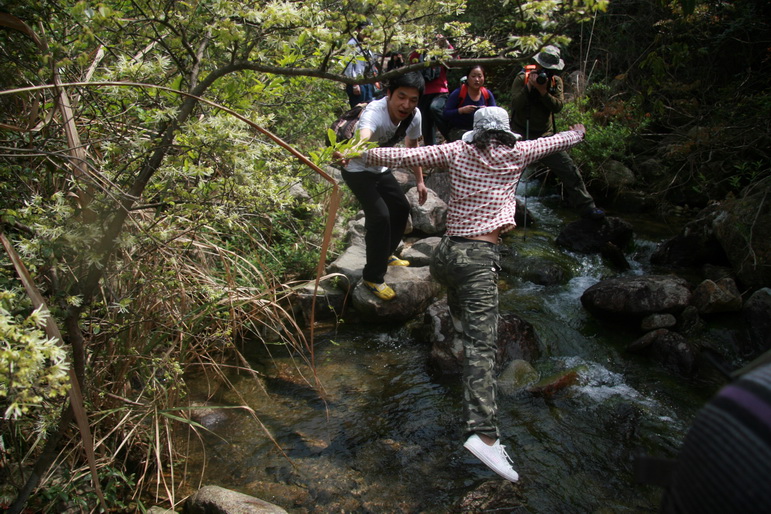 穿越石井坑图片之老树版 穿越石井坑图片之老树版
