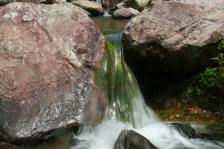 穿越石井坑图片之老树版 穿越石井坑图片之老树版