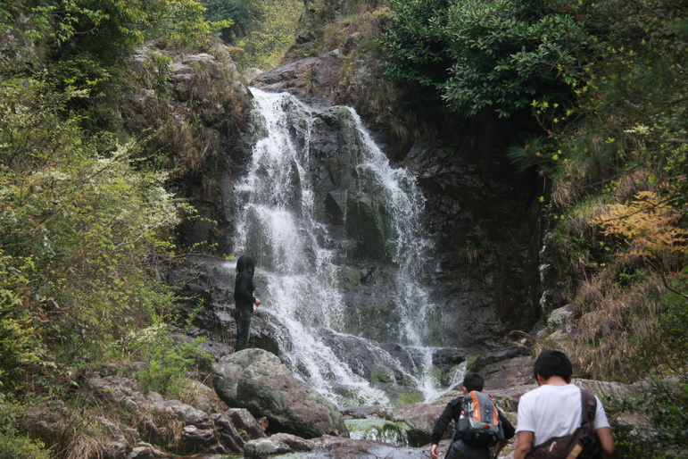 穿越石井坑图片之老树版 穿越石井坑图片之老树版
