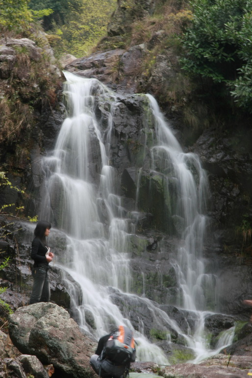 穿越石井坑图片之老树版 穿越石井坑图片之老树版