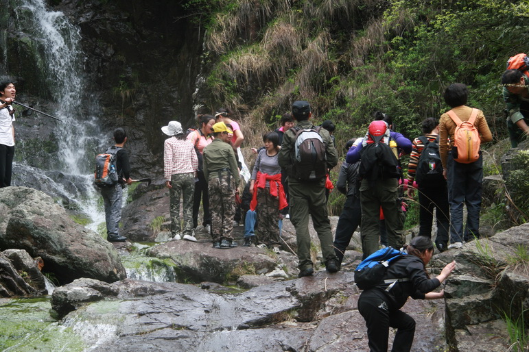 穿越石井坑图片之老树版 穿越石井坑图片之老树版