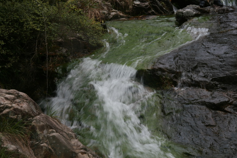 穿越石井坑图片之老树版 穿越石井坑图片之老树版