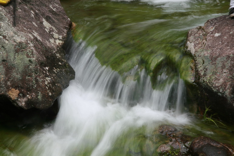 穿越石井坑图片之老树版 穿越石井坑图片之老树版