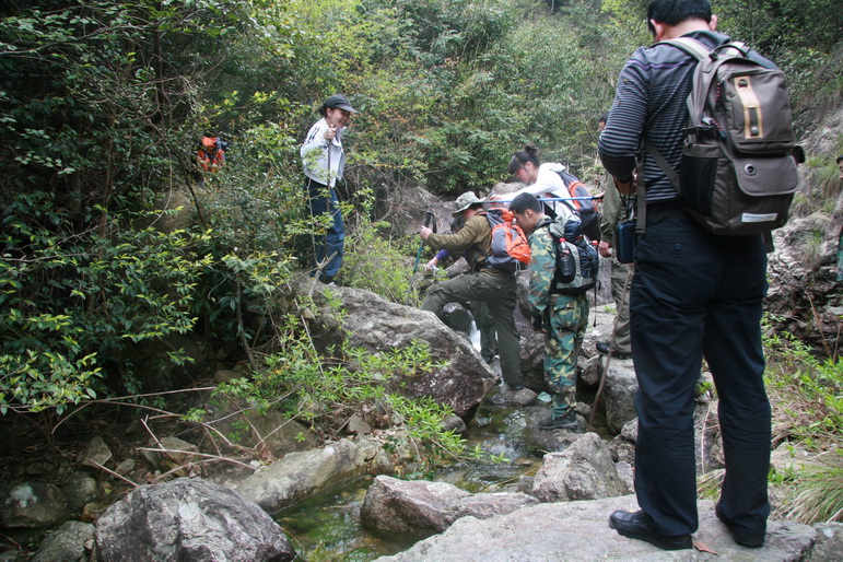 穿越石井坑图片之老树版 穿越石井坑图片之老树版