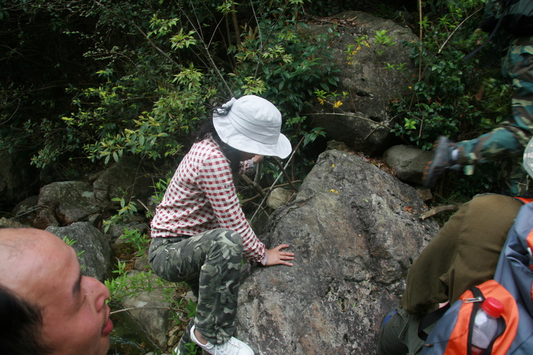 穿越石井坑图片之老树版 穿越石井坑图片之老树版