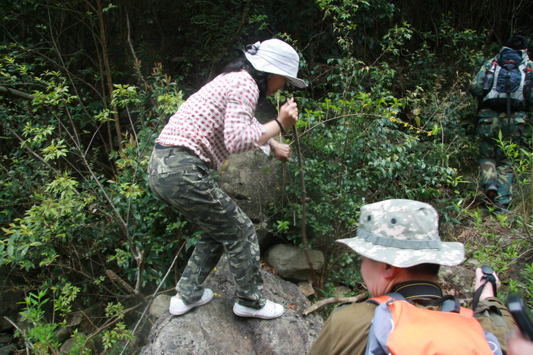穿越石井坑图片之老树版 穿越石井坑图片之老树版