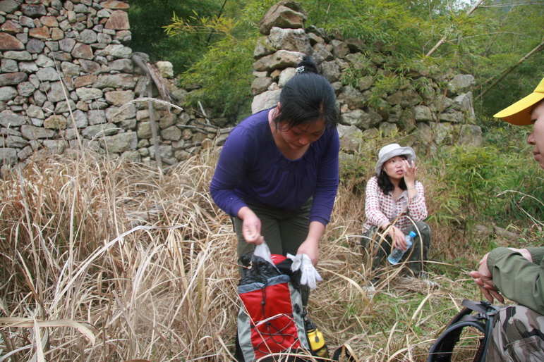 穿越石井坑图片之老树版 穿越石井坑图片之老树版