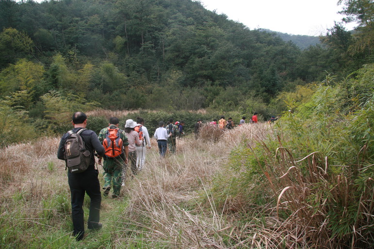 穿越石井坑图片之老树版 穿越石井坑图片之老树版