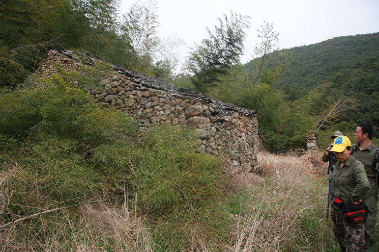 穿越石井坑图片之老树版 穿越石井坑图片之老树版