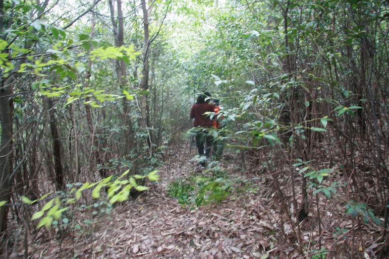 穿越石井坑图片之老树版 穿越石井坑图片之老树版