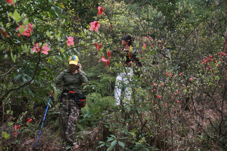 穿越石井坑图片之老树版 穿越石井坑图片之老树版
