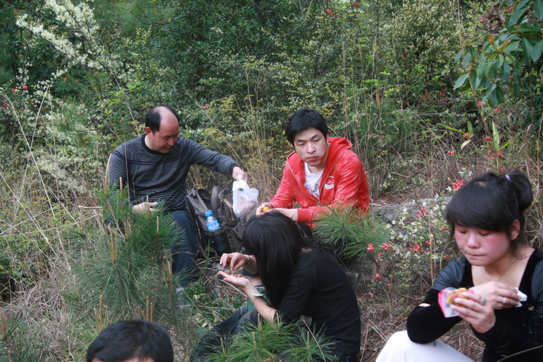 穿越石井坑图片之老树版 穿越石井坑图片之老树版