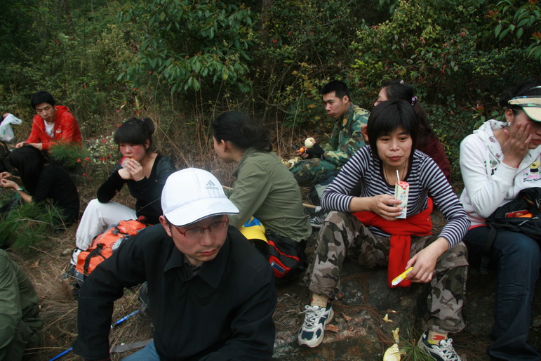 穿越石井坑图片之老树版 穿越石井坑图片之老树版