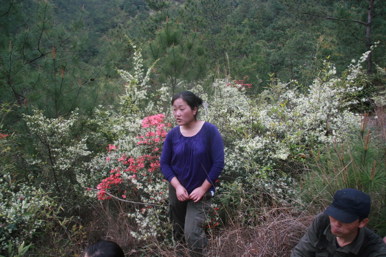 穿越石井坑图片之老树版 穿越石井坑图片之老树版