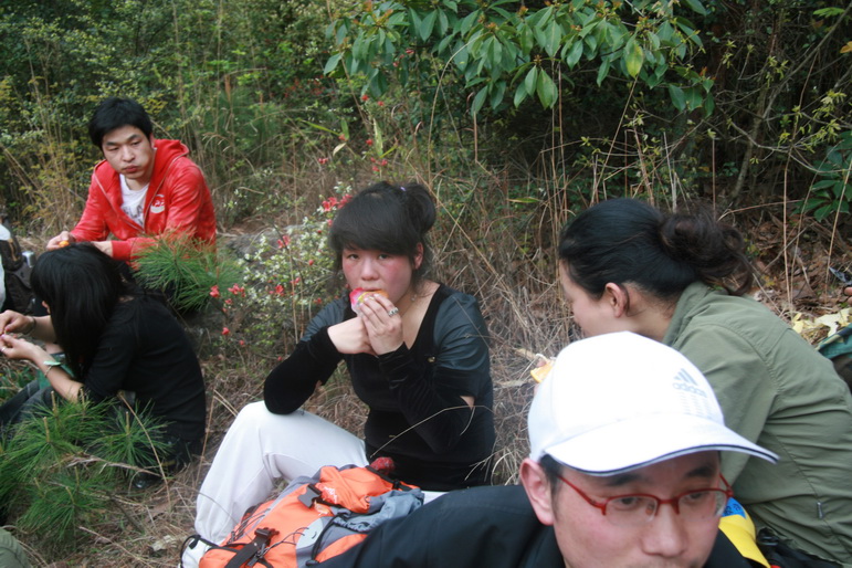 穿越石井坑图片之老树版 穿越石井坑图片之老树版