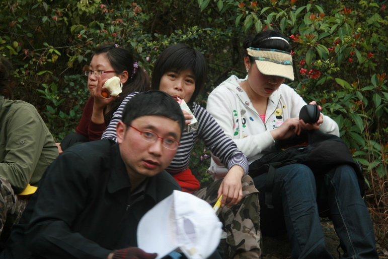 穿越石井坑图片之老树版 穿越石井坑图片之老树版