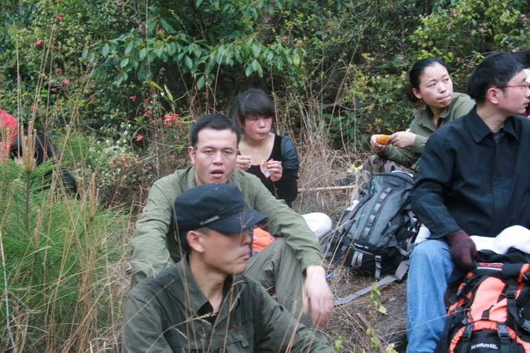 穿越石井坑图片之老树版 穿越石井坑图片之老树版