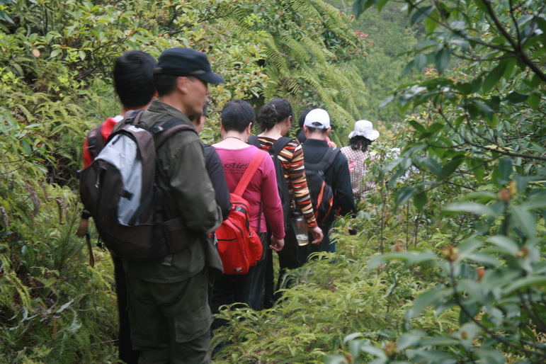 穿越石井坑图片之老树版 穿越石井坑图片之老树版