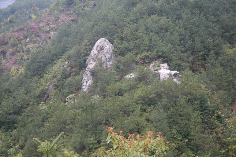 穿越石井坑图片之老树版 穿越石井坑图片之老树版