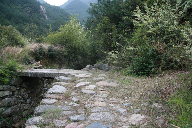 穿越石井坑图片之老树版 穿越石井坑图片之老树版