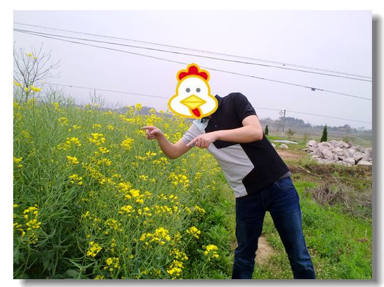 某天某版主家小型聚餐小照片。