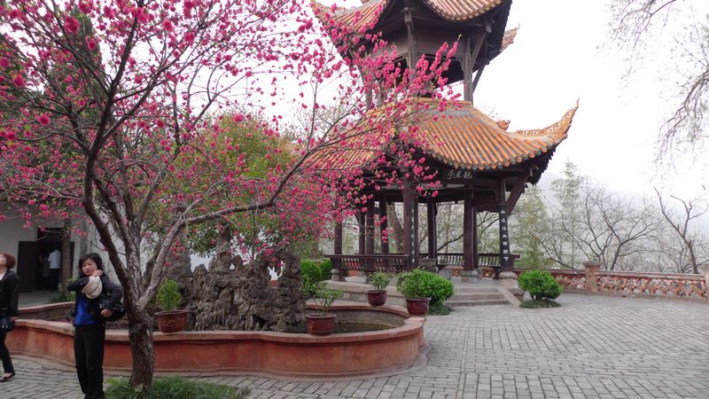 [原创]一次没有计划的长江三峡之旅