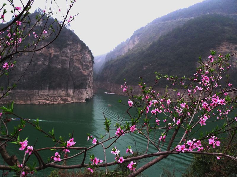 [原创]一次没有计划的长江三峡之旅