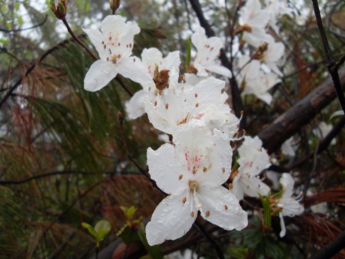 仙居驴行雪洞-----公盂穿越