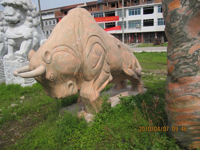 发几张图片  凑热闹