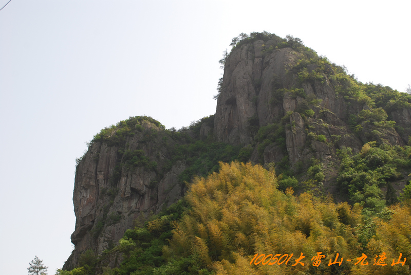 DSC_9581.jpg