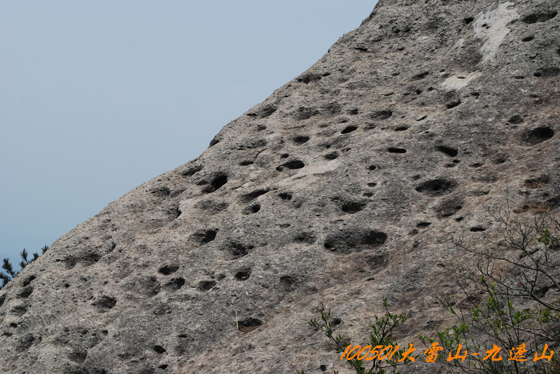 DSC_9611.jpg