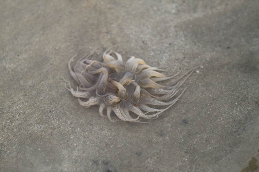 调整大小 _MG_9006.JPG