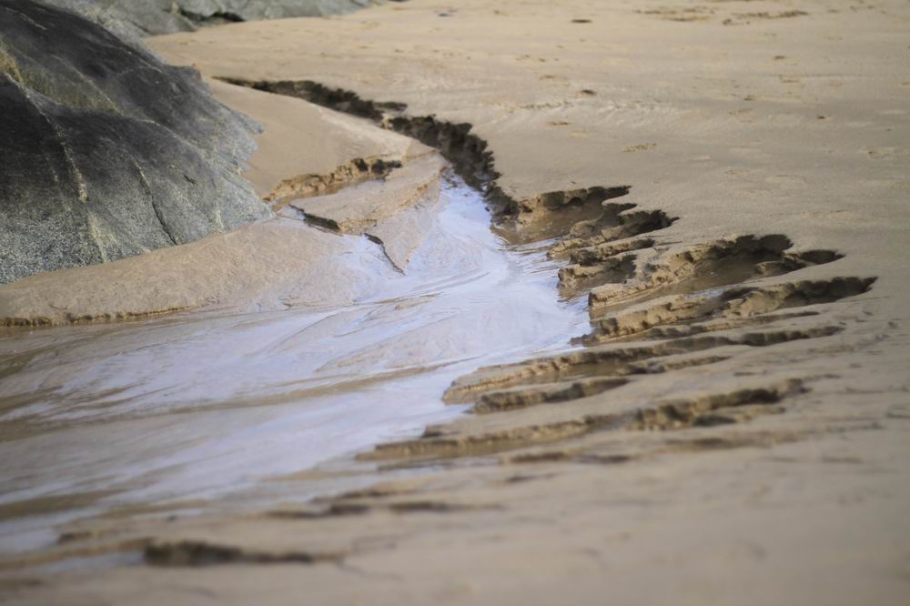 调整大小 _MG_9198.JPG