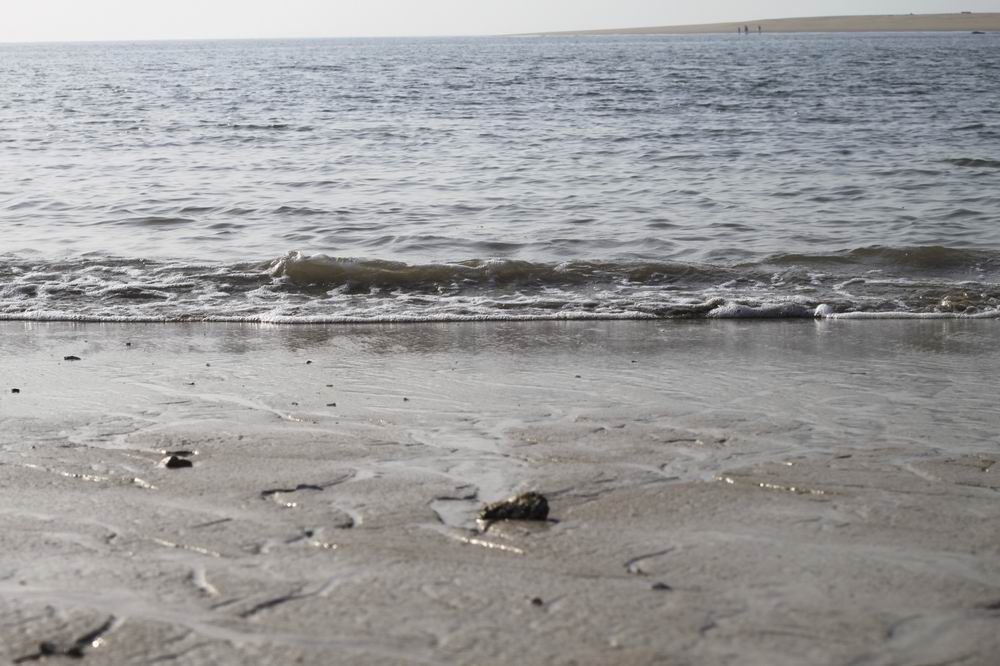 调整大小 _MG_9695.JPG