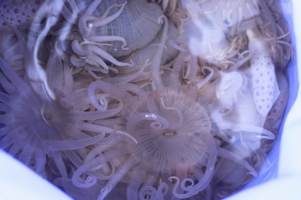 调整大小 _MG_9799.JPG