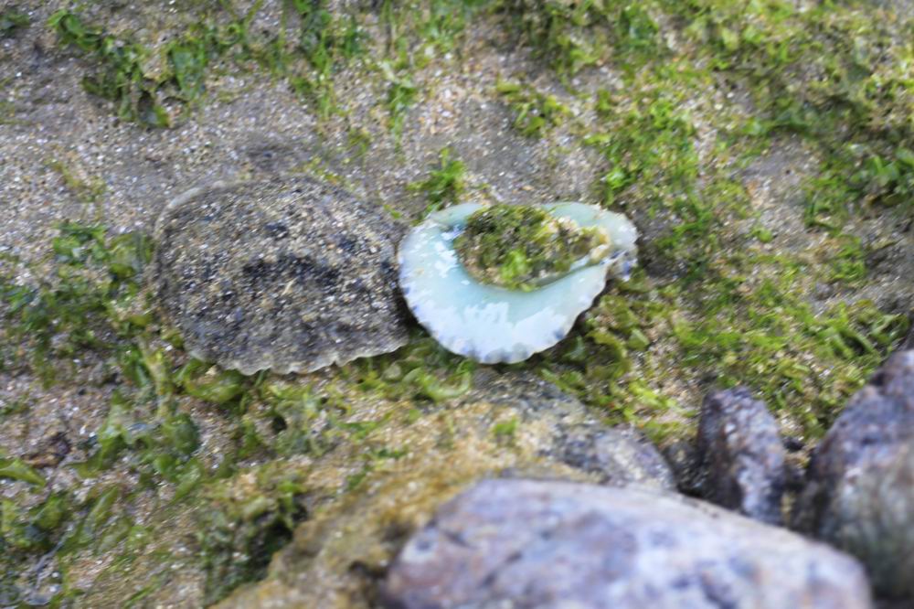 调整大小 _MG_9712.JPG