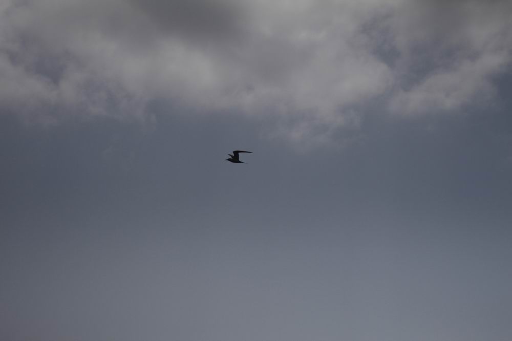 调整大小 _MG_9972.JPG