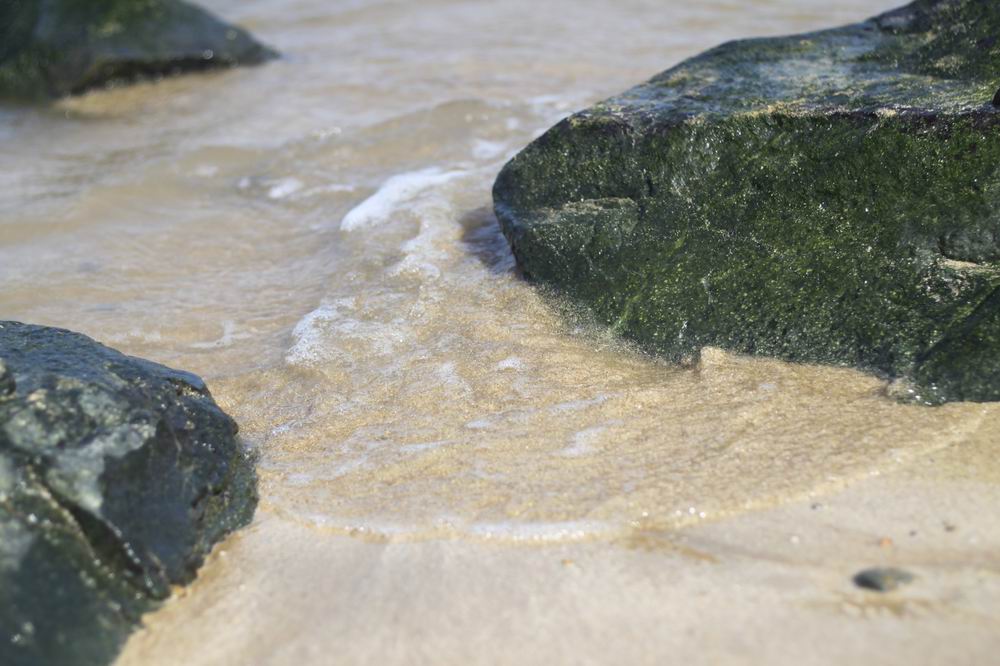 调整大小 _MG_9917.JPG